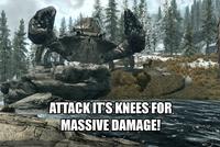 I Took an Arrow in the Knee