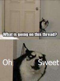 Reverse Memes