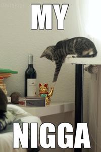 LOLcats