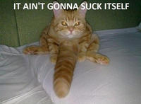 LOLcats