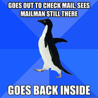 Socially Awkward Penguin