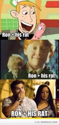 Stawp it, Rahn!