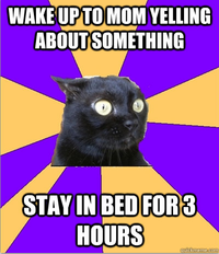 Anxiety Cat