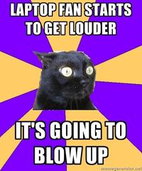 Anxiety Cat