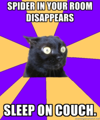 Anxiety Cat