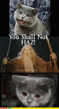 You Shall Not Pass!!!