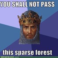 You Shall Not Pass!!!