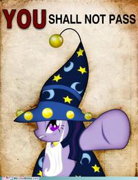 You Shall Not Pass!!!