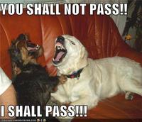 You Shall Not Pass!!!