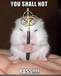 You Shall Not Pass!!!