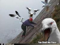 You Shall Not Pass!!!