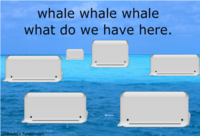 iPhone Whale