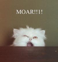 MOAR