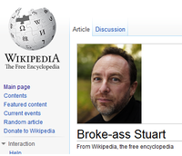 Wikipedia Donation Banner Captions