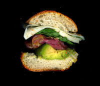 Scanwiches