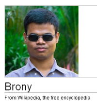Wikipedia Donation Banner Captions