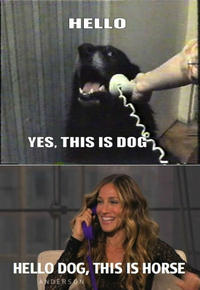 Yes, This is Dog