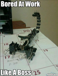 Like A Boss