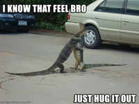 I Know That Feel Bro