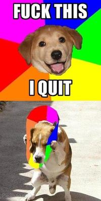 Advice Dog