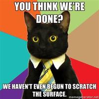 Business Cat