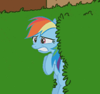 Pony Reactions