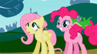 Pony Reactions