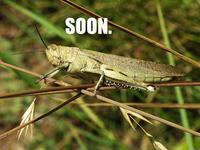 SOON