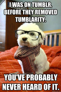Tumblr