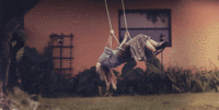 Cinemagraphs