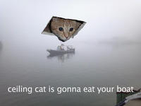 Ceiling Cat