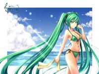 Hatsune Miku / Vocaloid
