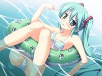 Miku Hatsune / Vocaloid