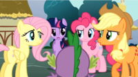Reaction Faces