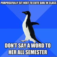 Socially Awkward Penguin