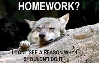 Ignorant to Adversity wolf