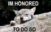 Ignorant to Adversity wolf