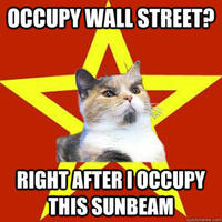 Lenin Cat