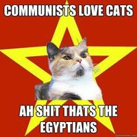 Lenin Cat