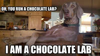 Condescending Wonka / Creepy Wonka