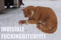 Invisible X