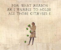 Medieval Macros - Bayeux Tapestry