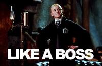 Like A Boss