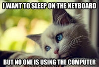 First World Problems