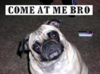 COME AT ME BRO