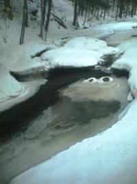 Things With Faces (Pareidolia)