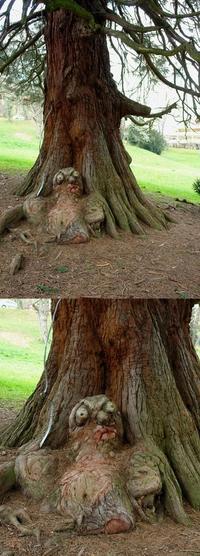 Things With Faces (Pareidolia)