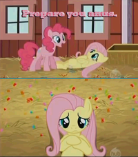 My Little Pony: Friendship is Magic