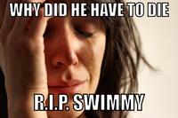 First World Problems