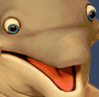 Reaction Faces